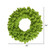  Vickerman K168636 36" Flocked Lime Fir Wreath 260T 