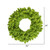 Vickerman K168637LED - 36" Flocked Lime Wreath with Lime LED Lights
