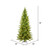  Vickerman K186166LED 6.5' x 40" Balsam Spruce Dura-Lit 300WW 