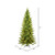  Vickerman K186256LED 5.5' x 36" Balsam Spruce 3mm LED 650WW 