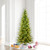 Vickerman K186258LEDCC - 5.5 ft Balsam Spruce Slim Prelit Color Changing LED Christmas Tree