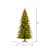 Vickerman K186258LEDCC 5.5' x 36" Balsam Spruce 3mm LED 650CC