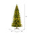 Vickerman K186288LEDCC - 10 ft Balsam Spruce Slim Prelit Color Changing LED Christmas Tree