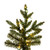  Vickerman K194178LEDCC 7.5' x 54" Natural Fraser 3mm LED 1800CC 