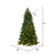 Vickerman K201266LEDCC 6.5' x 40" Brighton 3mm LED 1100CC