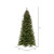 Vickerman K224066LED 6.5ft Douglas Fir Christmas Tree with Lights