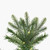 Vickerman K224068LED - 6.5 ft Douglas Fir Slim Prelit Warm White LED Christmas Tree