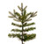  Vickerman K224166LED 6.5ft Douglas Fir Christmas Tree with Lights 
