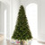 Vickerman K224183LED 9ft Douglas Fir Christmas Tree with Lights