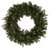  Vickerman K224346 48" Douglas Fir Wreath 720T 