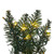 Vickerman K228633LED - 30" Camdon Fir Wreath with Warm White LED Lights
