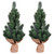 Vickerman LF203415 15" Blue Spruce Sapling Tree Burlap 2Pk