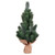 Vickerman LF203415 15" Blue Spruce Sapling Tree Burlap 2Pk