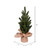  Vickerman LF203615 15" Balsam Fir Sapling Tree Burlap 2Pk 