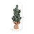  Vickerman LF203215 15" Frost Spruce Sapling Tree Burlap 2Pk 