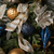 Vickerman M132531 - 8 inch Midnight Blue Glitter Teardrop Christmas Ornament