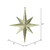 Vickerman M167408 12" Gold Glitter Bethlehem Star 2/Bag