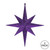 Vickerman M167466 12" Purple Glitter Bethlehem Star 2/Bag