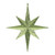 Vickerman M167473 12" Lime Glitter Bethlehem Star 2/Bag