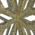  Vickerman M148438 24" Champagne 3D Glitter Star 