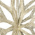Vickerman M148538 - 32 inch Champagne Glitter Star Christmas Ornament