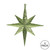 Vickerman M167273 - 8 inch Lime Glitter Star Christmas Ornament - 4 Pack
