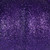  Vickerman MC225766 8" Purple Pumpkins Assorted Set of 3 