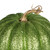 Vickerman MC225773 - 8 inch Lime Pumpkin Decor - Set of 3