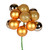 Vickerman N192508 12" Gold Ball Ornament Pick 4/Bg