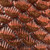 Vickerman N187371D 10" Coral Matte Glitter Pinecone 2/Bx