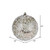 Vickerman N190538D 10" Champagne Glitter Hail Ball