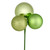 Vickerman N193054 18" Celadon Ornament Pick 4/Bg