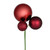 Vickerman N193119 18" Wine Ornament Pick 3/Bg