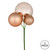 Vickerman N193180 18" Cafe Latte Ornament Pick 3/Bg