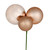 Vickerman N193280 - 18 inch Cafe Latte Ball Christmas Ornament - 2 Pack