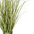  Vickerman TD190524 2ft Native Green Grass In Iron Pot 
