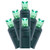  Vickerman X6G6533 25ft 50-LED Lime Christmas Light String 