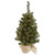 Vickerman A116024 2ft  Felton Pine Table Top Table Top Christmas Tree