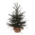 Vickerman B167618 - 1.5 ft Vienna Twig Unlit Christmas Tree