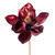  Vickerman EH211065 13" Burgundy Magnolia Pick 