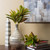 Vickerman FA173401-3 - 23 in. Green Real Touch Croton Artificial Spray - 3 Pack