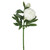  Vickerman FA174802 - 24" Artificial Peony Cream w/2 Blooms - 3 Pack 