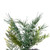 Vickerman FJ214424 - 24" Mixed Fern Cedar Wreath