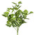 Vickerman FH170201-3 17" Peperomia Bush-Green/White 3Pk 