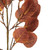Vickerman FT228935 - 32 in. Dark Brown SD Eucalyptus Leaf Artificial Spray - 3 Pack