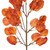  Vickerman FT228940 32" Artificial Rust Orange SD Eucalyptus Leaf Spray 3/Bag 