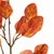  Vickerman FT228940 32" Artificial Rust Orange SD Eucalyptus Leaf Spray 3/Bag 
