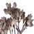Vickerman FXT222326 - 25.5 in. Purple Green Primrose Flower Artificial Spray - 3 Pack