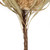  Vickerman H1BAJ000-3 12" Natural Banksia Flower Stem 3/Pk 