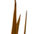  Vickerman H1SNG725-3 18-30" 36 Stems Natural Dried Aspen Gold Snake Grass 